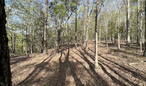 Photo #47 of SOLD property in Off Deisher Blvd , Eagle Rock, VA 183.0 acres