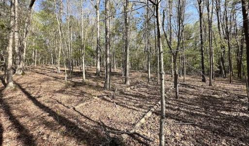 Photo #48 of SOLD property in Off Deisher Blvd , Eagle Rock, VA 183.0 acres