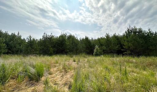 Photo #3 of SOLD property in Off Blue Star Hwy, Jarratt, VA 37.0 acres