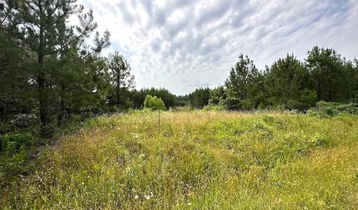 Photo #4 of SOLD property in Off Blue Star Hwy, Jarratt, VA 37.0 acres