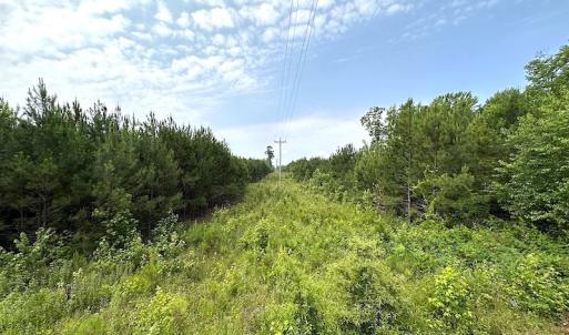 Photo #5 of SOLD property in Off Blue Star Hwy, Jarratt, VA 37.0 acres