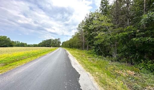 Photo #6 of SOLD property in Off Blue Star Hwy, Jarratt, VA 37.0 acres