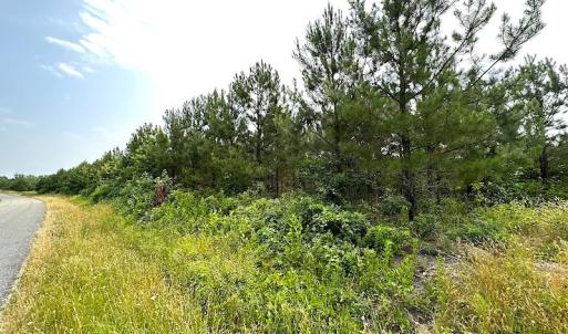 Photo #9 of SOLD property in Off Blue Star Hwy, Jarratt, VA 37.0 acres
