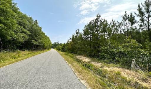 Photo #11 of SOLD property in Off Blue Star Hwy, Jarratt, VA 37.0 acres