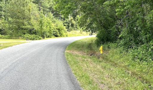 Photo #12 of SOLD property in Off Blue Star Hwy, Jarratt, VA 37.0 acres