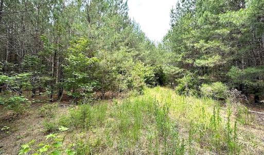 Photo #2 of SOLD property in Off Blue Star Hwy, Jarratt, VA 20.0 acres