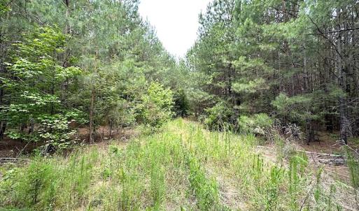 Photo #11 of SOLD property in Off Blue Star Hwy, Jarratt, VA 20.0 acres