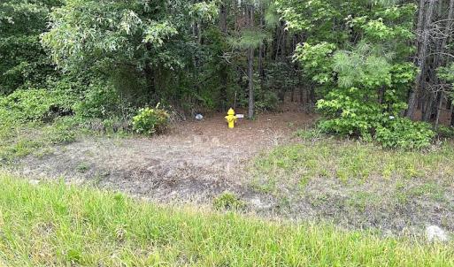Photo #15 of SOLD property in Off Blue Star Hwy, Jarratt, VA 20.0 acres