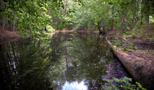 Photo #8 of Off Howard Avenue Extension, Tarboro, NC 32.0 acres