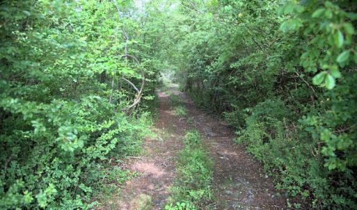 Photo #9 of Off Howard Avenue Extension, Tarboro, NC 32.0 acres
