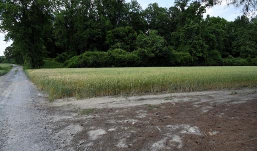 Photo #11 of Off Howard Avenue Extension, Tarboro, NC 32.0 acres