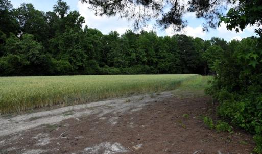 Photo #12 of Off Howard Avenue Extension, Tarboro, NC 32.0 acres