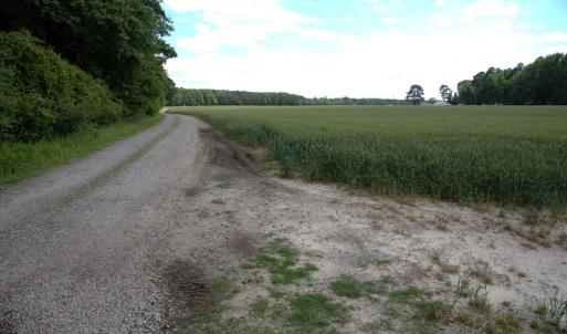 Photo #14 of Off Howard Avenue Extension, Tarboro, NC 32.0 acres