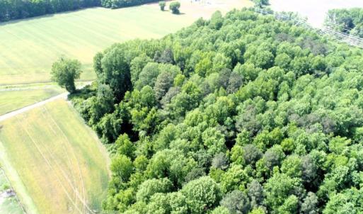 Photo #5 of Off Howard Avenue Extension, Tarboro, NC 32.0 acres