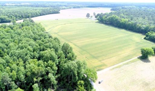 Photo #6 of Off Howard Avenue Extension, Tarboro, NC 32.0 acres