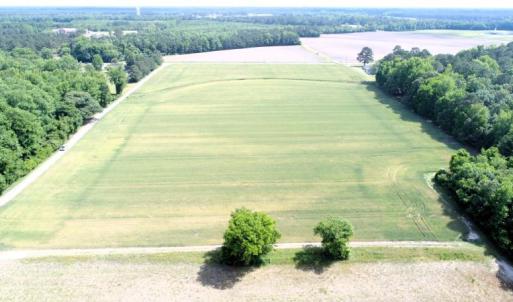 Photo #7 of Off Howard Avenue Extension, Tarboro, NC 32.0 acres