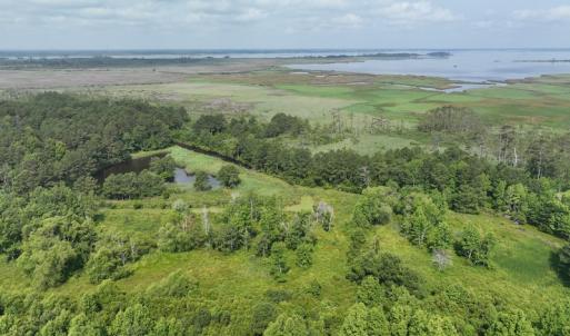 Photo #2 of Off Waterlily Road, Coinjock, NC 122.7 acres