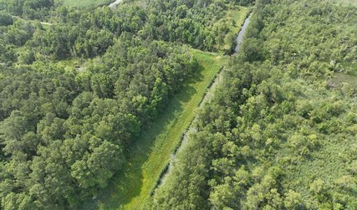 Photo #11 of Off Waterlily Road, Coinjock, NC 122.7 acres