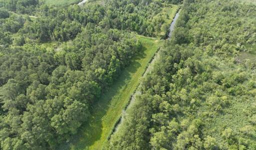 Photo #11 of Off Waterlily Road, Coinjock, NC 122.7 acres