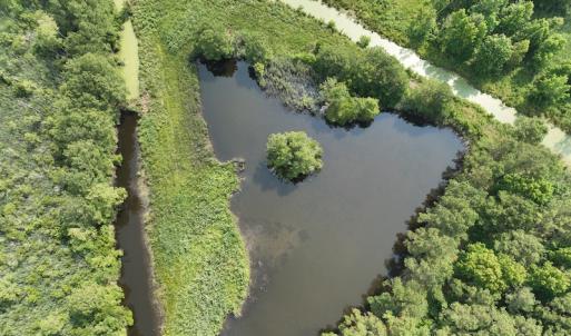 Photo #12 of Off Waterlily Road, Coinjock, NC 122.7 acres