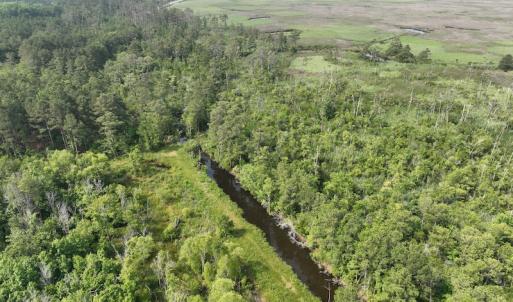 Photo #6 of Off Waterlily Road, Coinjock, NC 122.7 acres