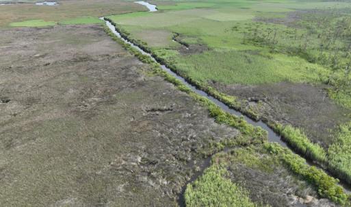 Photo #10 of Off Waterlily Road, Coinjock, NC 122.7 acres
