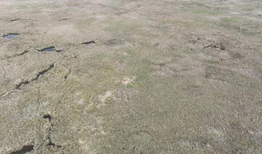 Photo #18 of Off Waterlily Road, Coinjock, NC 122.7 acres