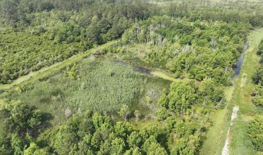 Photo #14 of Off Waterlily Road, Coinjock, NC 122.7 acres