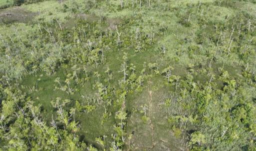 Photo #16 of Off Waterlily Road, Coinjock, NC 122.7 acres