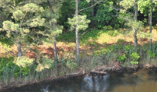 Photo #27 of Off Waterlily Road, Coinjock, NC 122.7 acres