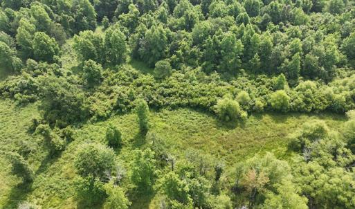 Photo #28 of Off Waterlily Road, Coinjock, NC 122.7 acres