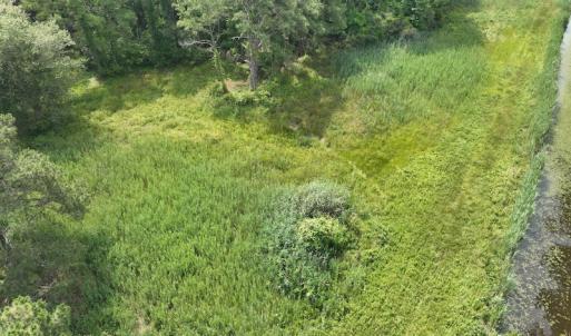 Photo #36 of Off Waterlily Road, Coinjock, NC 122.7 acres
