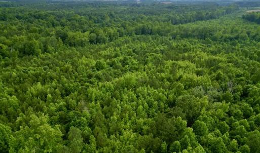 Photo #2 of SOLD property in Off Burchette Road, Manson, NC 12.7 acres