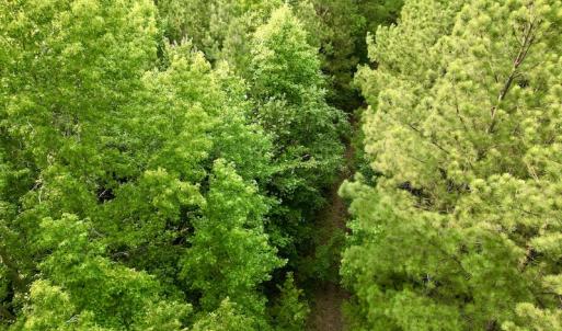 Photo #18 of SOLD property in Off Burchette Road, Manson, NC 12.7 acres