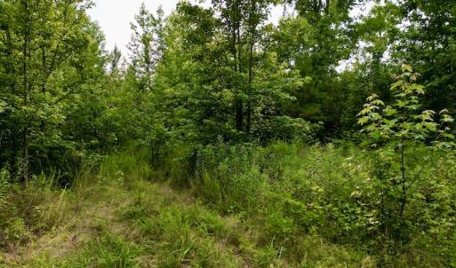 Photo #19 of SOLD property in Off Burchette Road, Manson, NC 12.7 acres