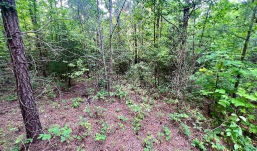 Photo #21 of SOLD property in Off Burchette Road, Manson, NC 12.7 acres