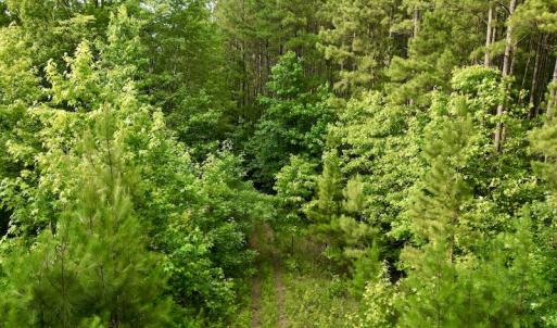 Photo #24 of SOLD property in Off Burchette Road, Manson, NC 12.7 acres