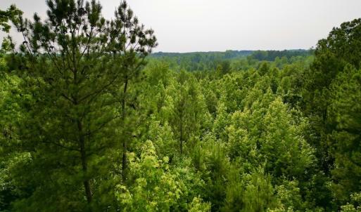 Photo #25 of SOLD property in Off Burchette Road, Manson, NC 12.7 acres