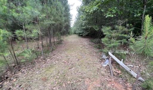 Photo #26 of SOLD property in Off Burchette Road, Manson, NC 12.7 acres
