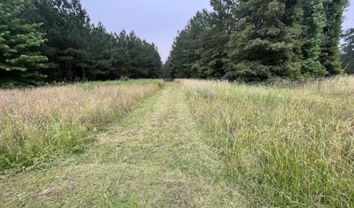 Photo #27 of SOLD property in Off Burchette Road, Manson, NC 12.7 acres