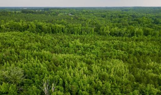 Photo #3 of SOLD property in Off Burchette Road, Manson, NC 12.7 acres