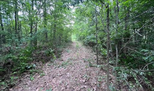 Photo #28 of SOLD property in Off Burchette Road, Manson, NC 12.7 acres
