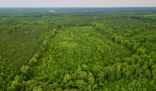 Photo #5 of SOLD property in Off Burchette Road, Manson, NC 12.7 acres