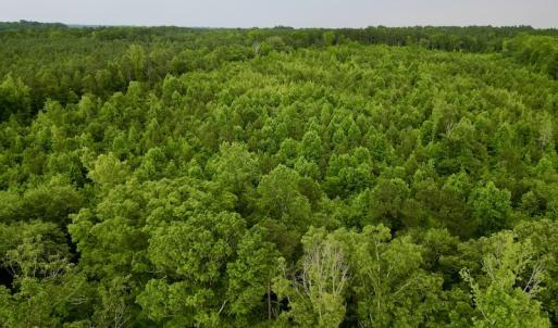 Photo #6 of SOLD property in Off Burchette Road, Manson, NC 12.7 acres