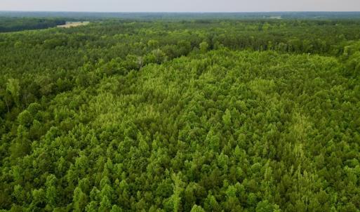 Photo #7 of SOLD property in Off Burchette Road, Manson, NC 12.7 acres