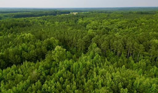 Photo #9 of SOLD property in Off Burchette Road, Manson, NC 12.7 acres