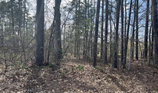 Photo #30 of SOLD property in 116, 118 & 120 Navajo Trail, Edenton, NC 0.4 acres