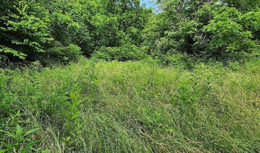 Photo #10 of SOLD property in 715 White Rock Gap Rd, Covington, VA 43.4 acres