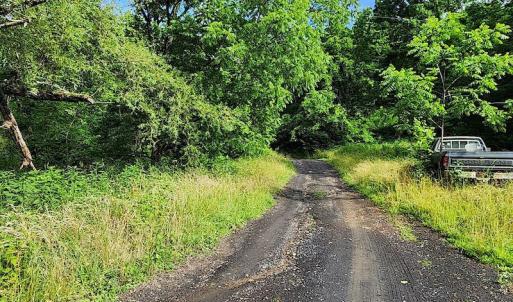 Photo #7 of SOLD property in 715 White Rock Gap Rd, Covington, VA 43.4 acres