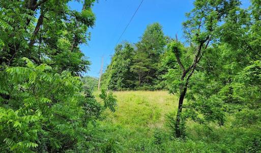 Photo #9 of SOLD property in 715 White Rock Gap Rd, Covington, VA 43.4 acres